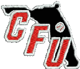 Central Florida Umpires logo